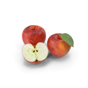 مواد البقالة