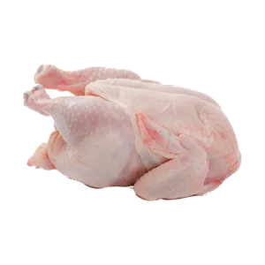 لحم دجاج
